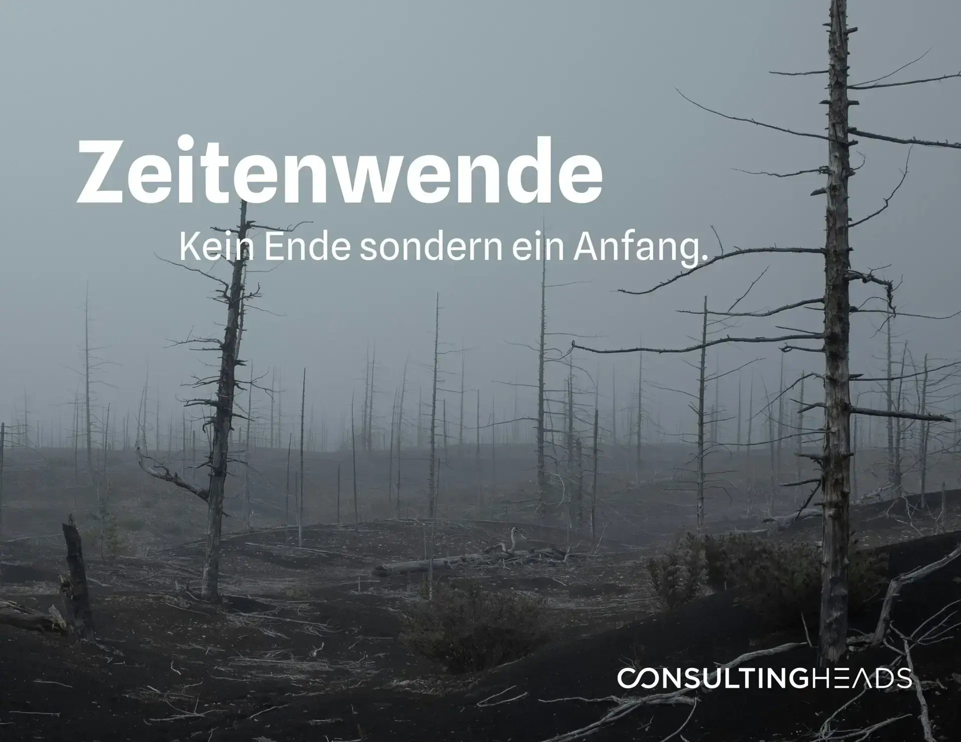 Zeitwende, Wald, Digitalisierung, Automotive