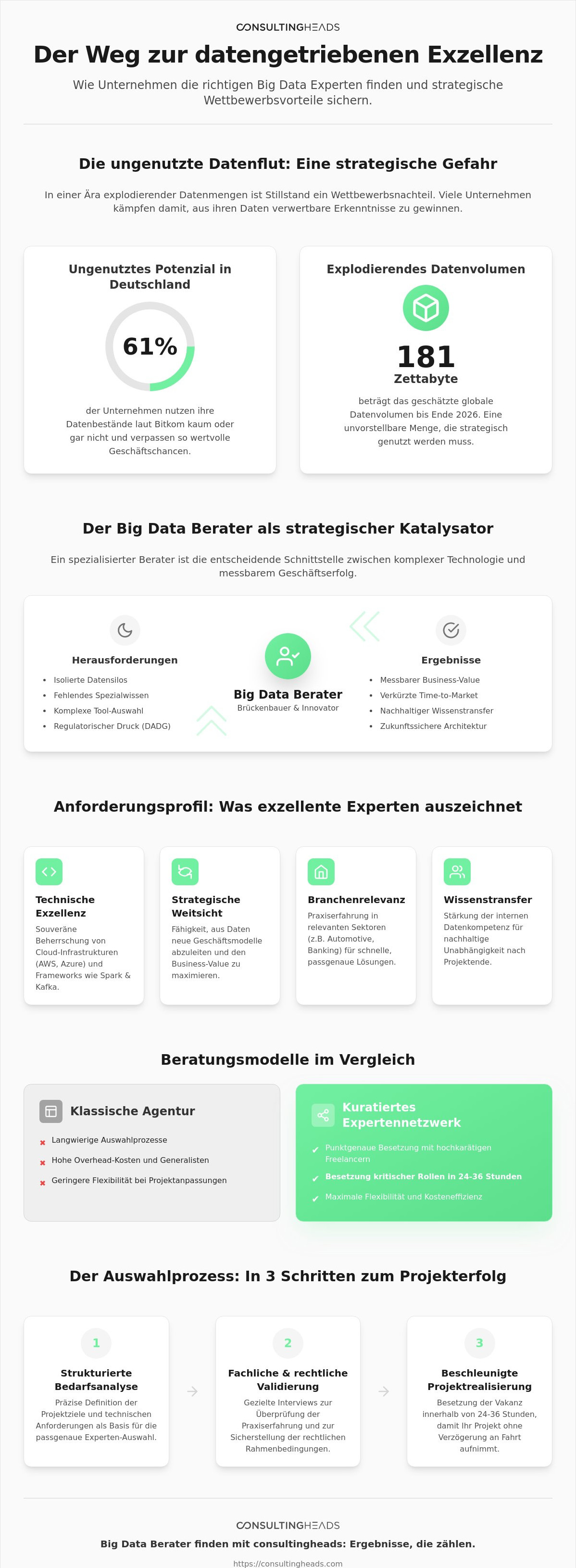 Big Data Berater finden