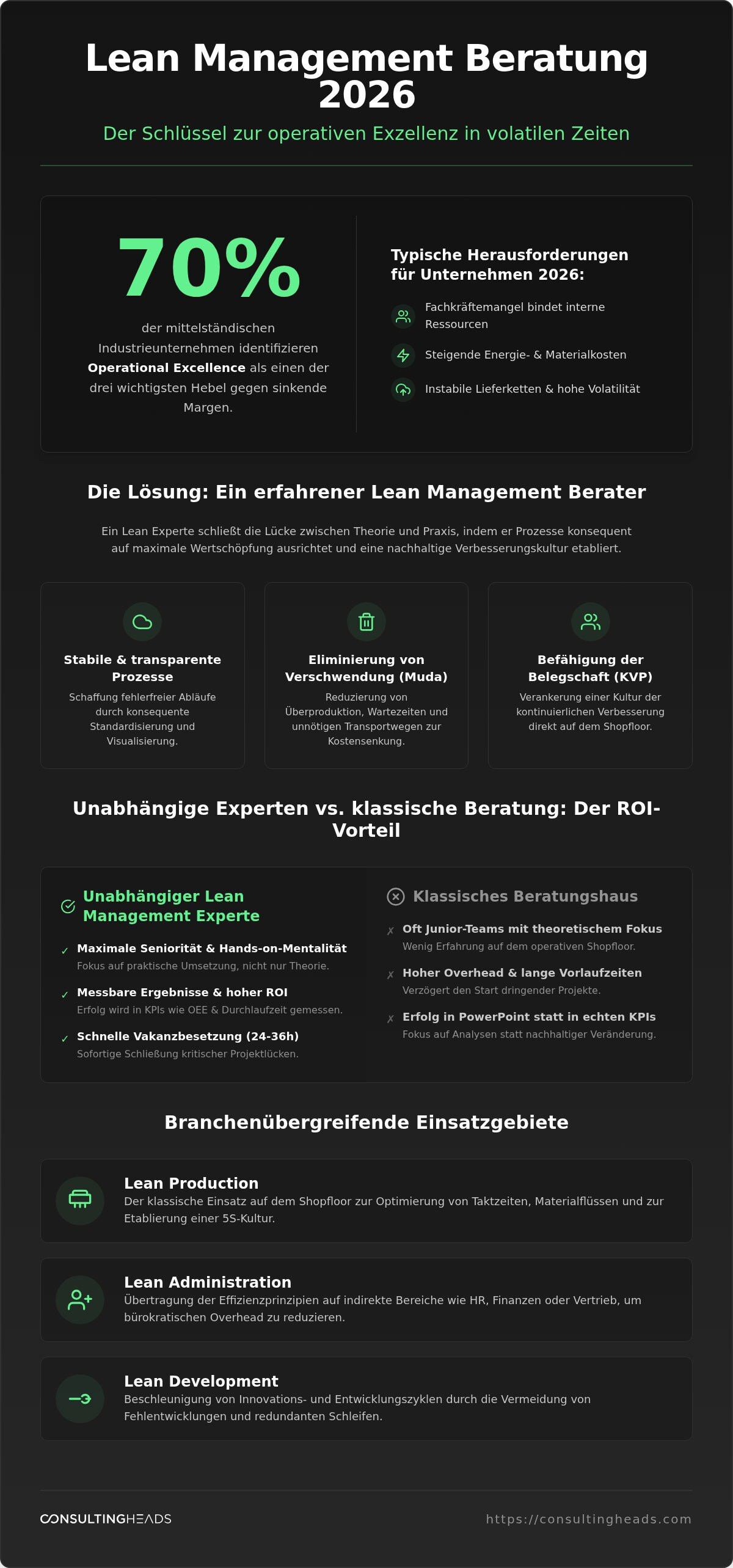 Lean management berater