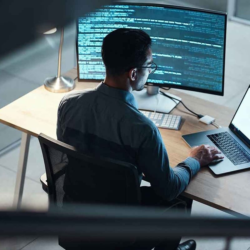 SAP Consulting