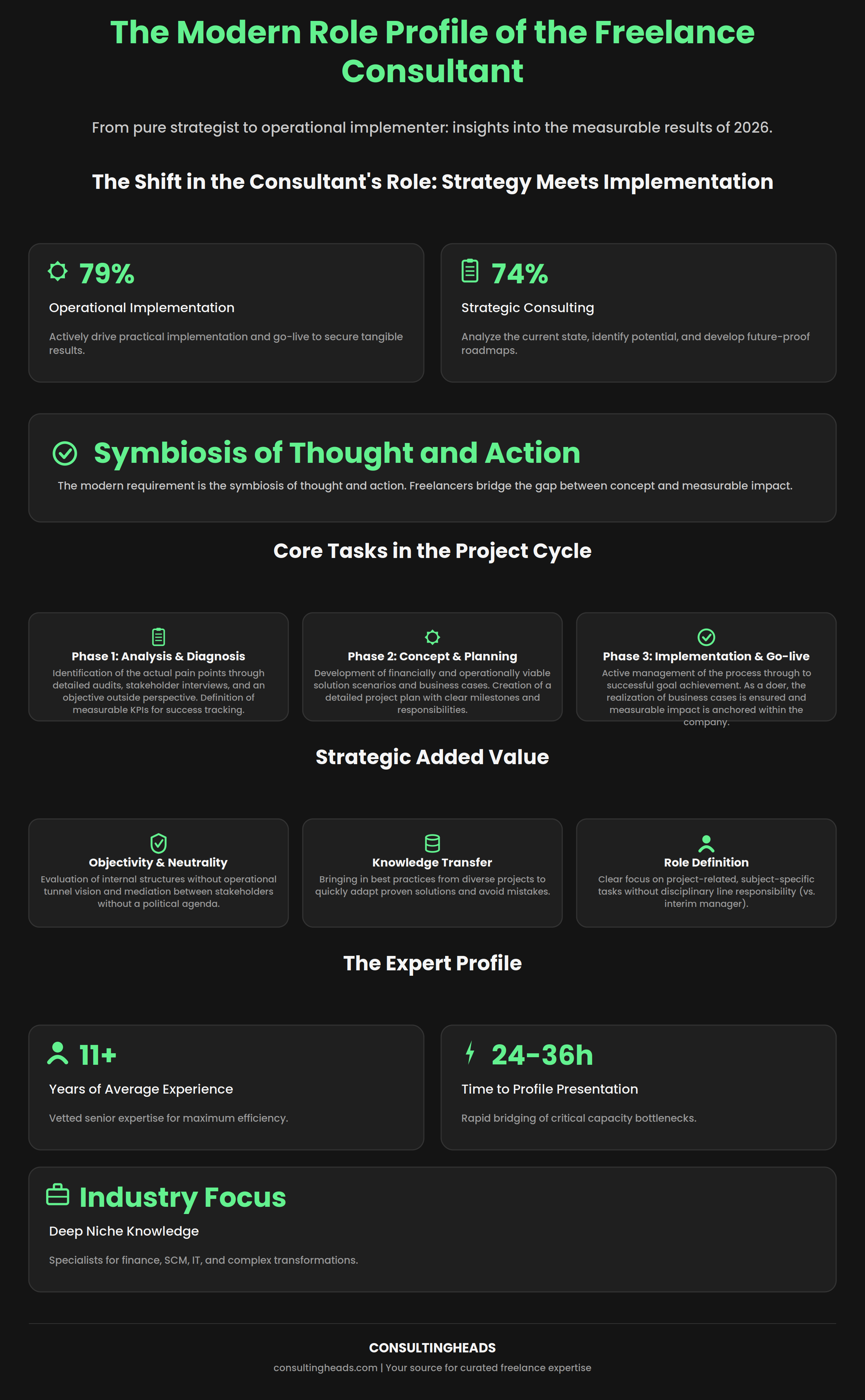 Infographic: modern responsibilities of a freelance consultant — strategy, project cycle, and expert profile stats