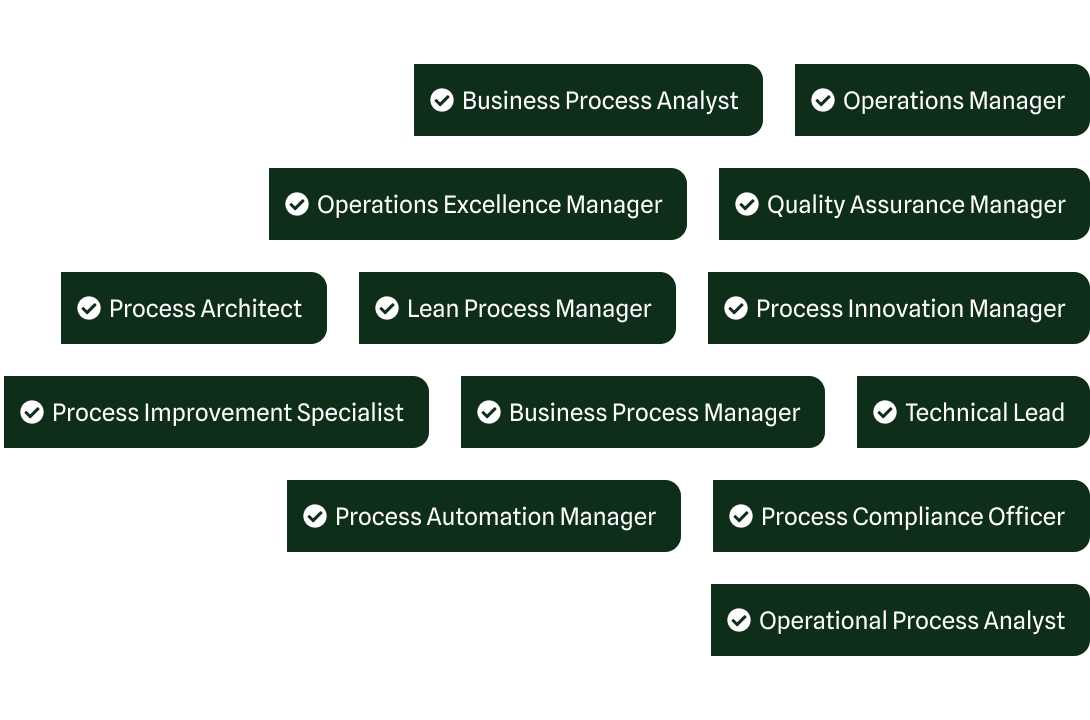 consultingheads Business Process Consultant