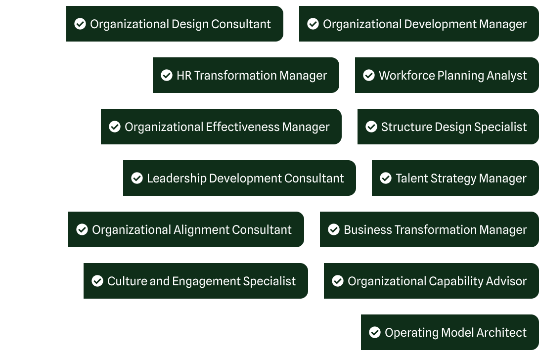 consultingheads Organisationsdesign